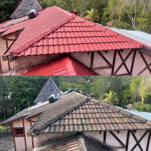 Roof Painting Gold coast